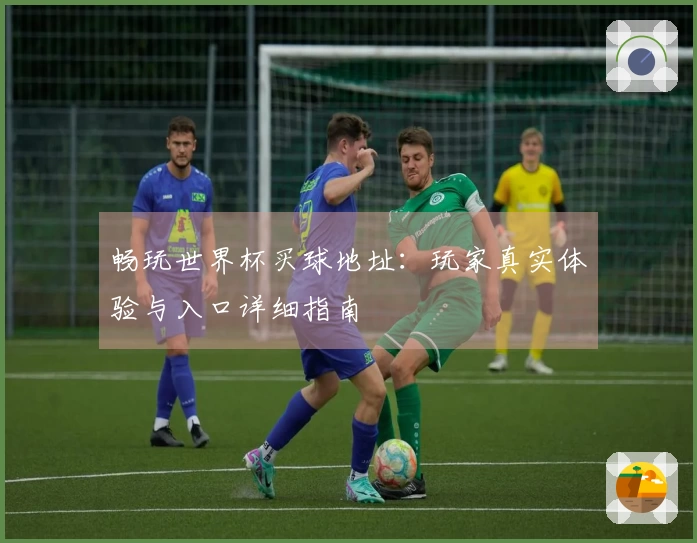 畅玩世界杯买球地址:玩家真实体验与入口详细指南