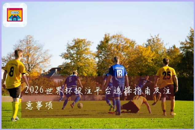 2026世界杯投注平台选择指南及注意事项