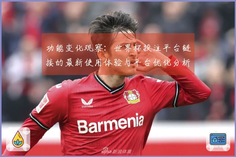 功能变化观察：世界杯投注平台链接的最新使用体验与平台优化分析