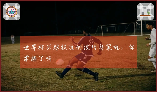 世界杯买球投注的技巧与策略，你掌握了吗