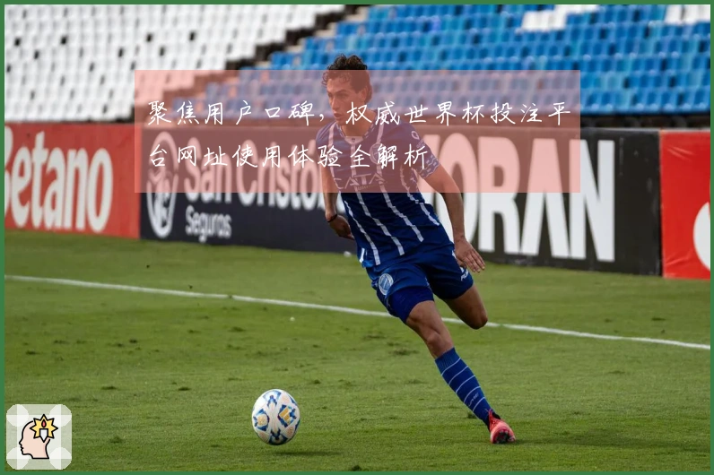 聚焦用户口碑，权威世界杯投注平台网址使用体验全解析