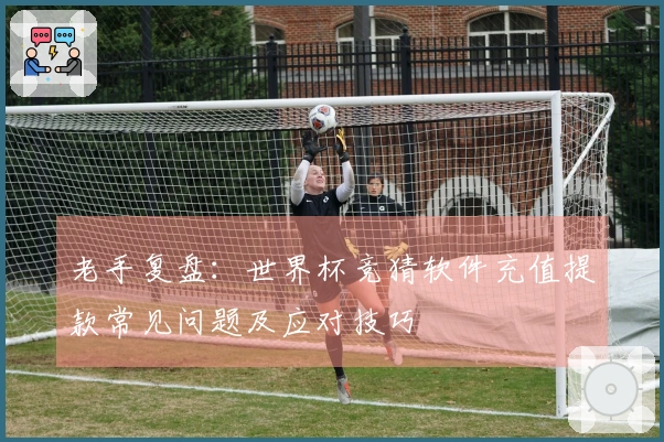 老手复盘：世界杯竞猜软件充值提款常见问题及应对技巧