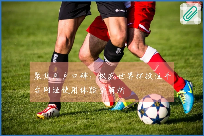 聚焦用户口碑，权威世界杯投注平台网址使用体验全解析