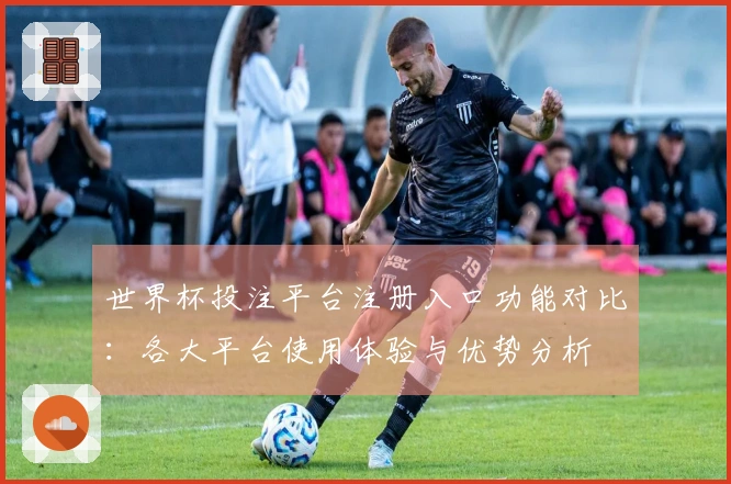 世界杯投注平台注册入口功能对比：各大平台使用体验与优势分析
