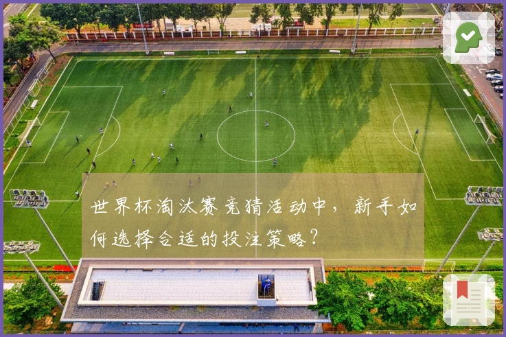 世界杯淘汰赛竞猜活动中,新手如何选择合适的投注策略?