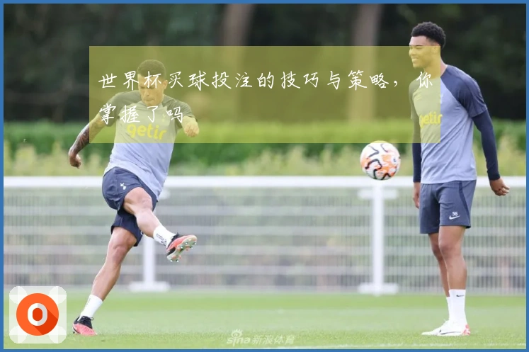 世界杯买球投注的技巧与策略，你掌握了吗