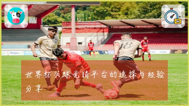 世界杯买球竞猜平台的选择与经验分享