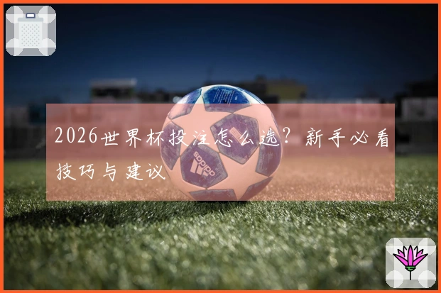 2026世界杯投注怎么选？新手必看技巧与建议
