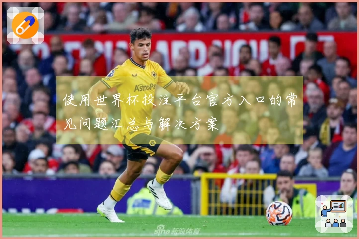 使用世界杯投注平台官方入口的常见问题汇总与解决方案