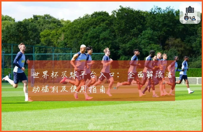 世界杯买球平台入口：全面解读活动福利及使用指南